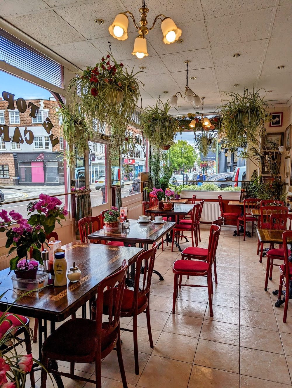 The dining room with red chairs, long wooden tables, hanging plants and a chandelier, looking toward the bright front windows